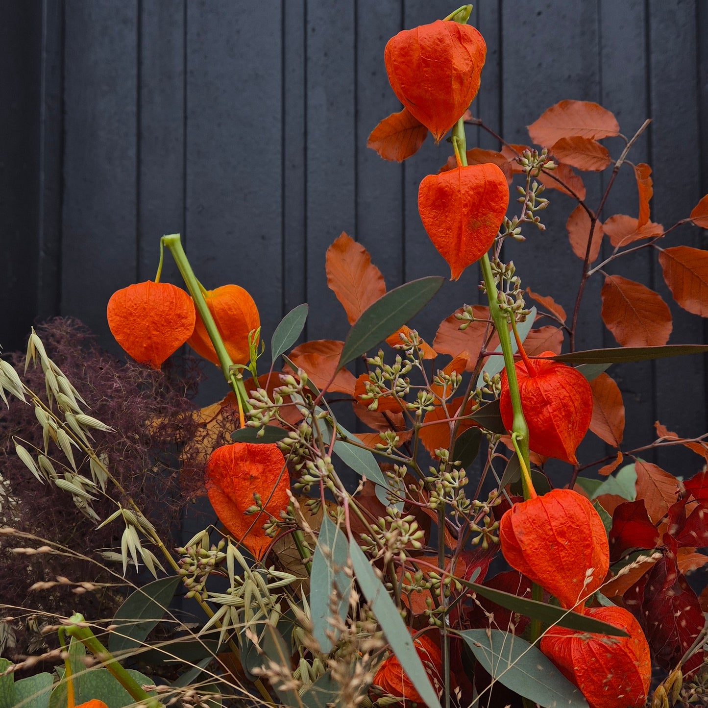A Bunch of Autumn - large