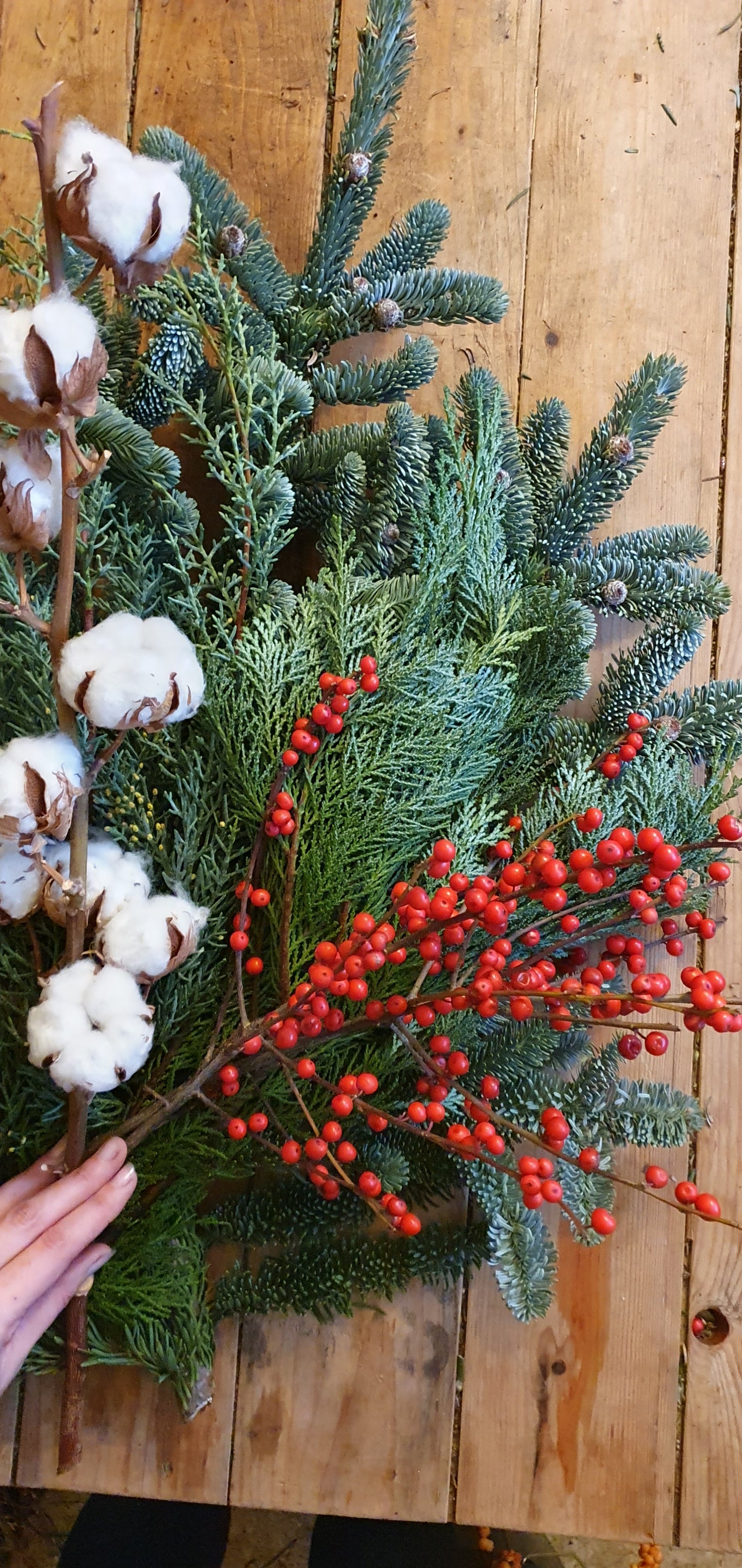 DIY Evergreen Bundle